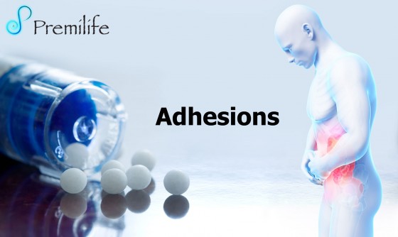 Adhesions Adhesions