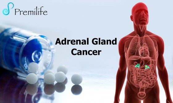 Adrenal-Gland-Cancer Adrenal-Gland-Cancer