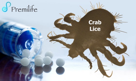 Crab-Lice Crab-Lice