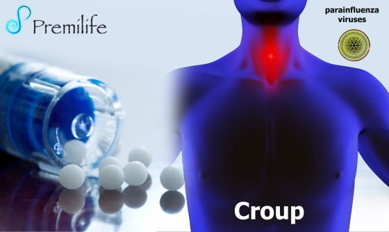 Croup Croup