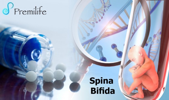 Spina-Bifida Spina-Bifida