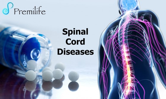 Spinal-Cord-Diseases Spinal-Cord-Diseases