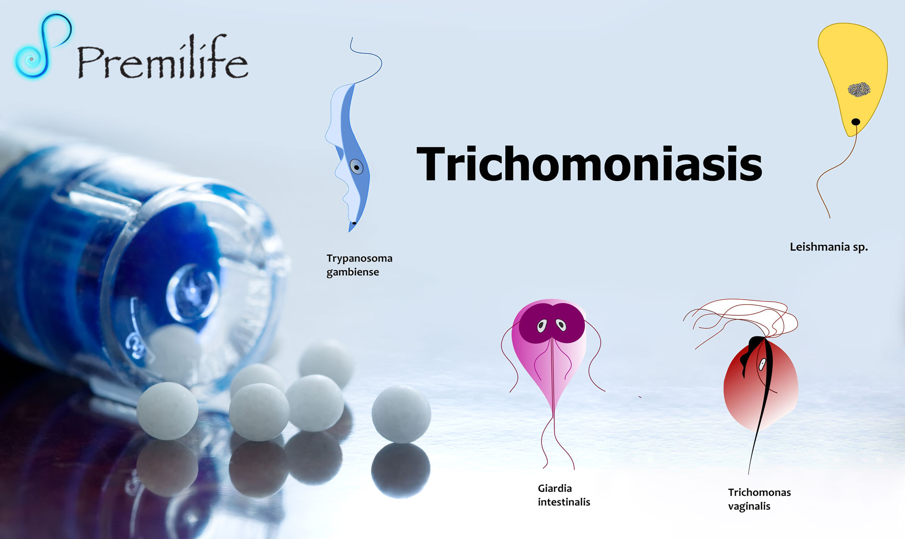 giardia és trichomonas Papilloma vírus tünetei és kezelése
