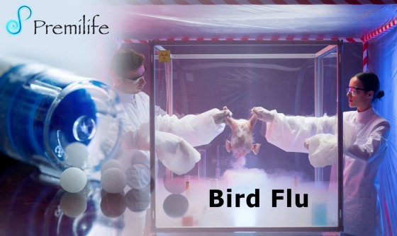 Bird-Flu