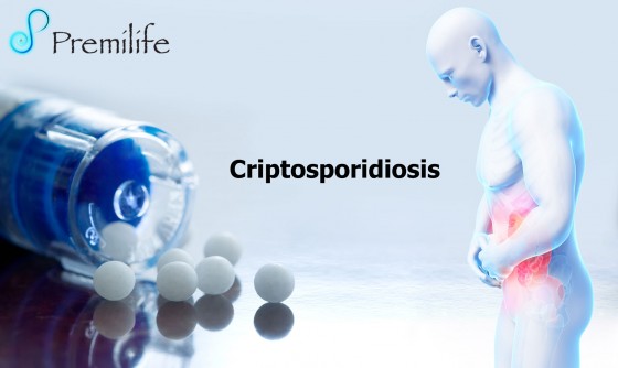 cryptosporidiosis-spanish