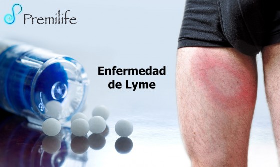 lyme-disease-spanish lyme-disease-spanish