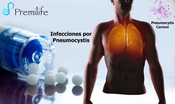pneumocystis-infections-spanish