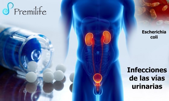 urinary-tract-infections-spanish