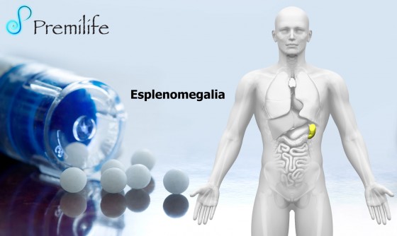 splenomegaly-spanish splenomegaly-spanish