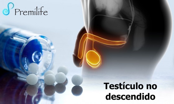 undescended-testicle-spanish