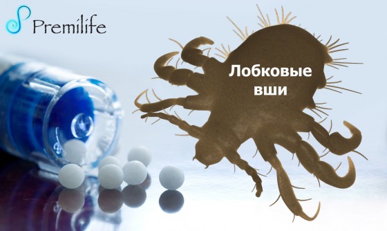 Crab-Lice-russian
