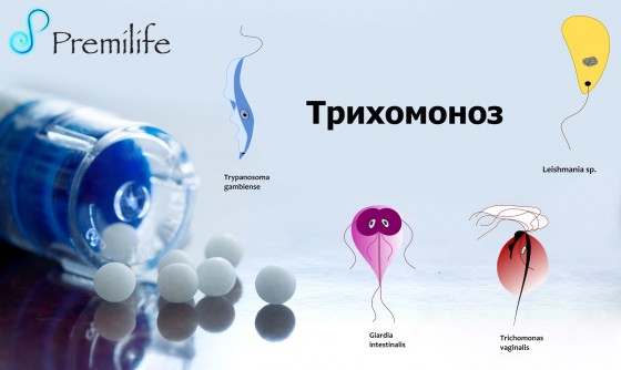 Trichomoniasis-russian